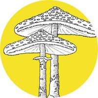 Soziales